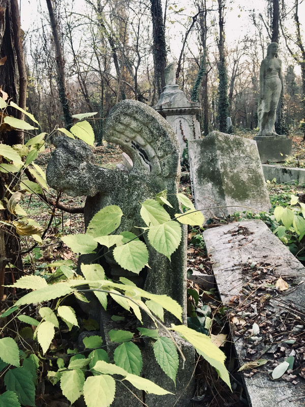 angel-statue-budapest-forgotten-graveyard